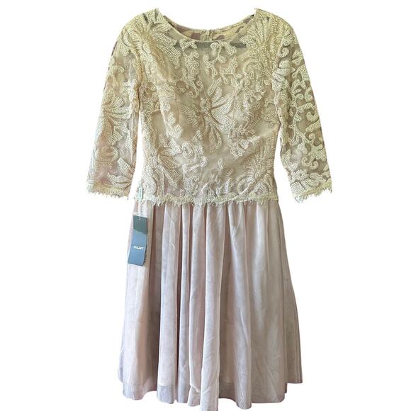 Izilady Cream Lace Tulle Dress Small NWT Women’s Mother of the Bride Groom - Picture 1 of 8
